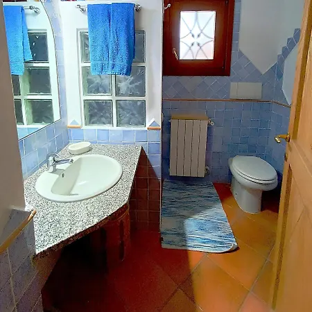 Olivastro