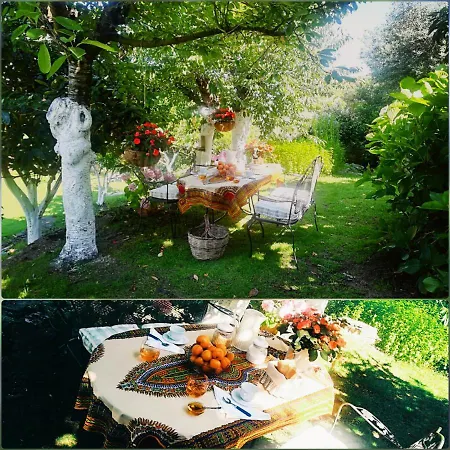 Olivastro Apartman Arzachena