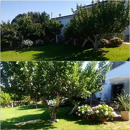 Apartman Olivastro *