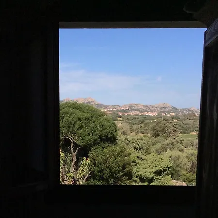 Olivastro Apartman *