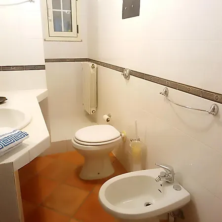 Olivastro Арцакена