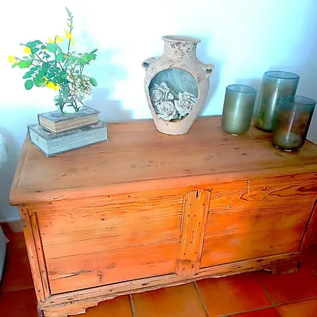 Apartment Olivastro
