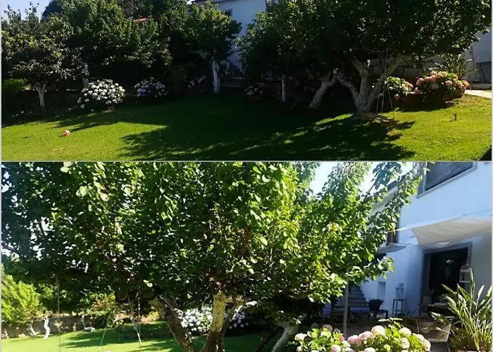 Apartment Olivastro *